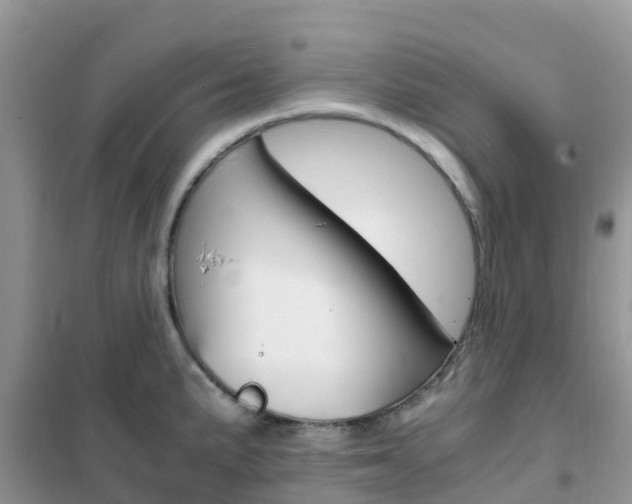 X0000102371191200808011016