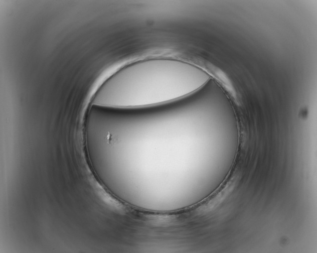 X0000102371192200808011016