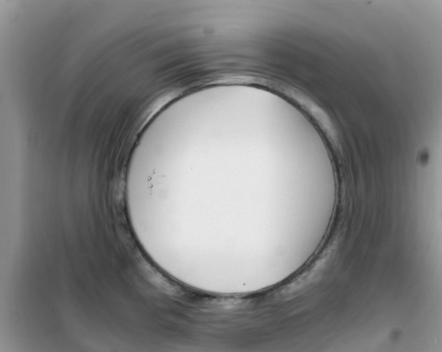 X0000102371193200808011016