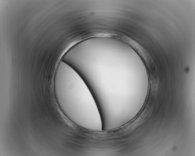 X0000102371194200808011016