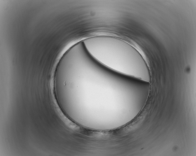 X0000102371195200808011016