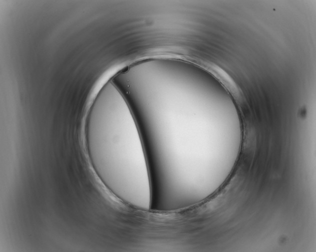 X0000102371196200808011016