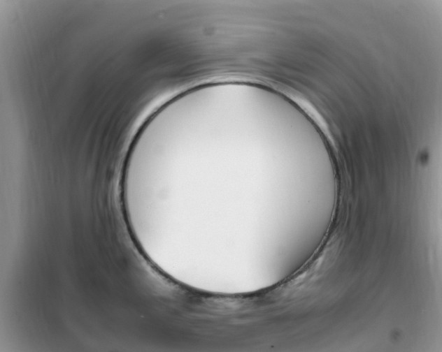 X0000102371197200808011016