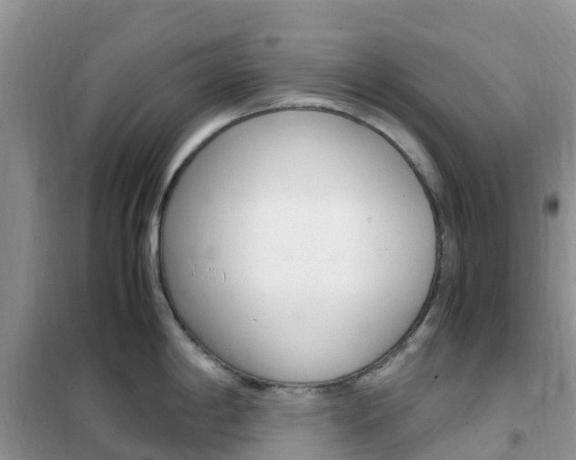 X0000102371198200808011016