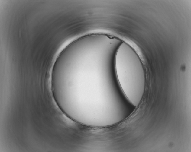 X0000102371199200808011016