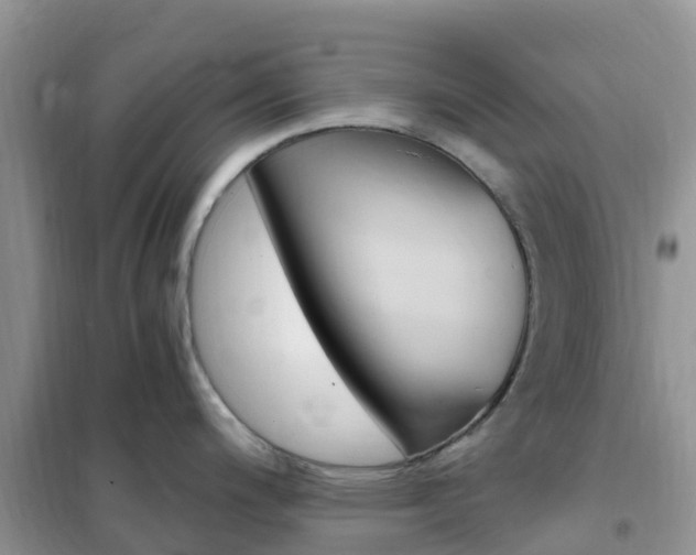X0000102371200200808011016