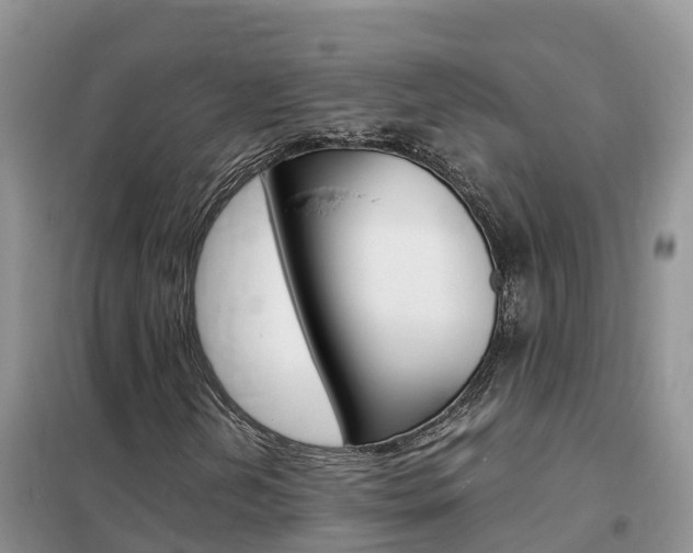X0000102371202200808011015