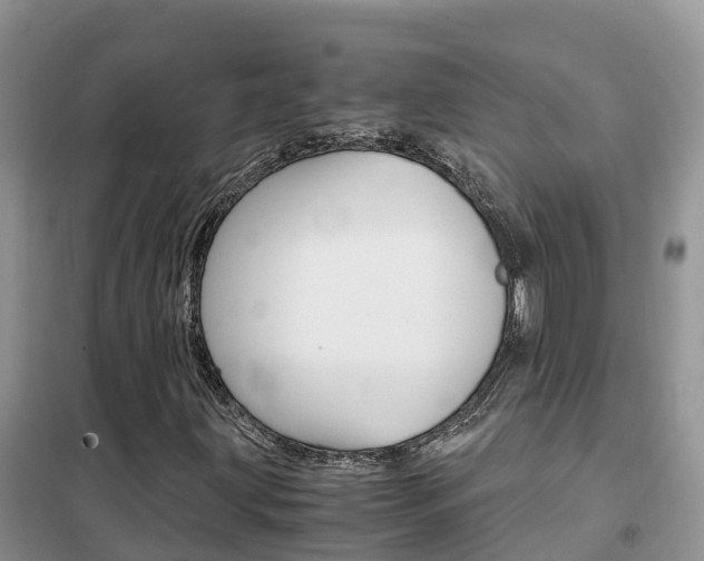X0000102371203200808011015