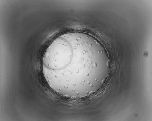 X0000102371205200808011015