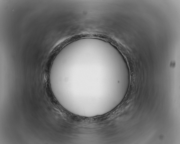 X0000102371206200808011016