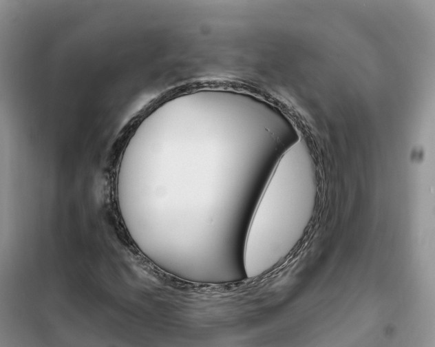 X0000102371208200808011016