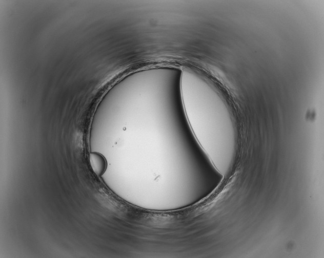 X0000102371209200808011016