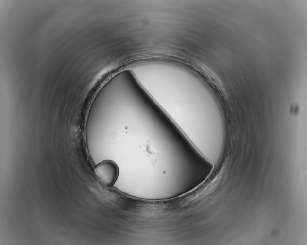 X0000102371210200808011016