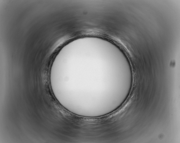 X0000102371211200808011016