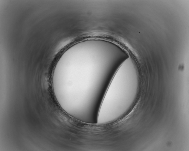X0000102371213200808011016