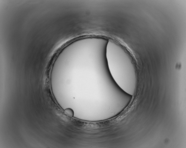 X0000102371215200808011016
