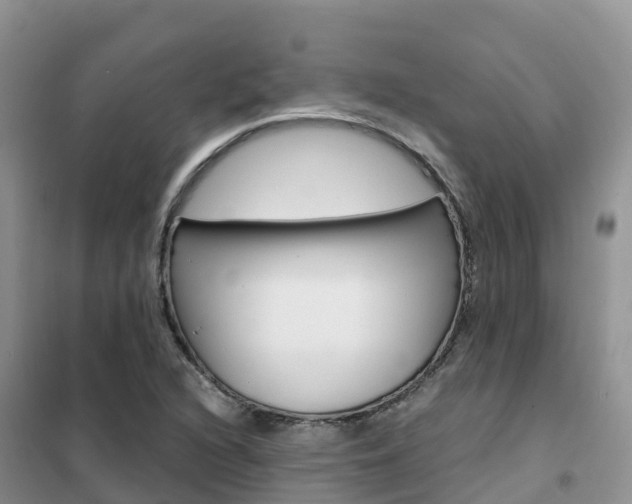 X0000102371216200808011016