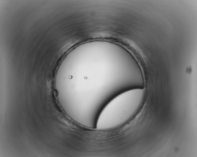 X0000102371217200808011016
