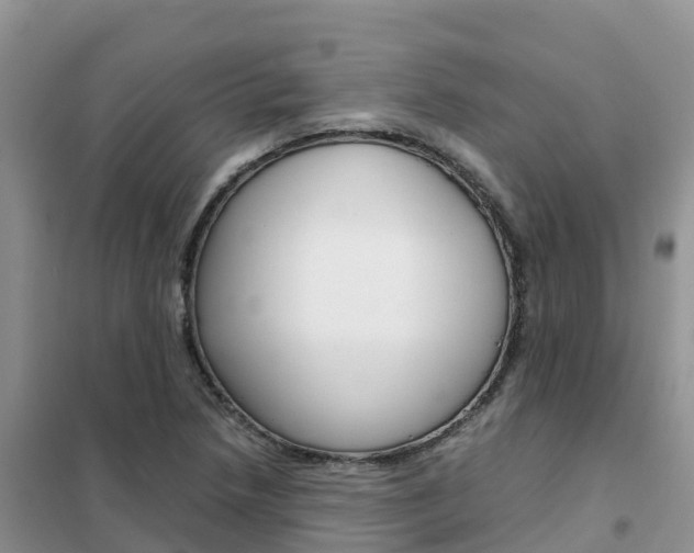 X0000102371218200808011016