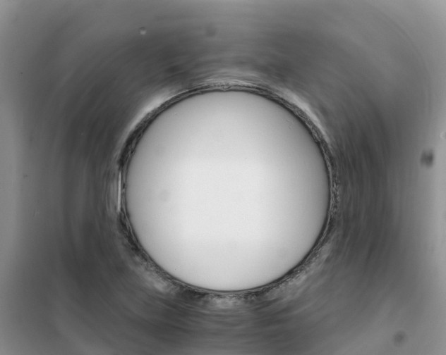 X0000102371219200808011016