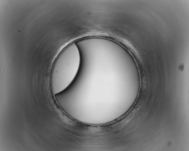 X0000102371220200808011016