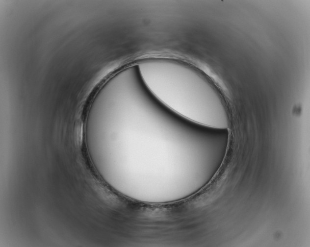 X0000102371221200808011016