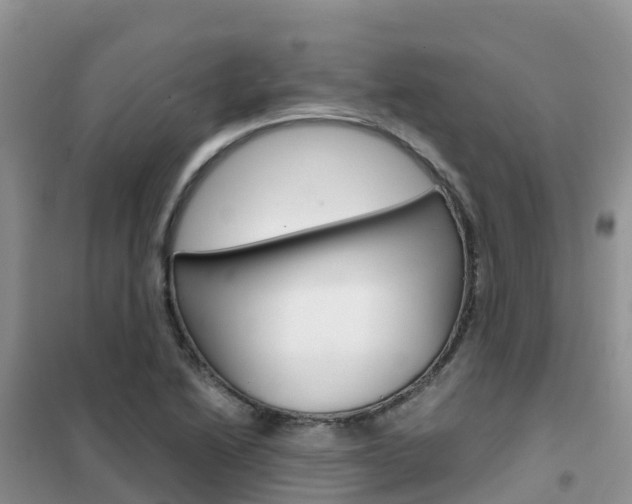 X0000102371222200808011016