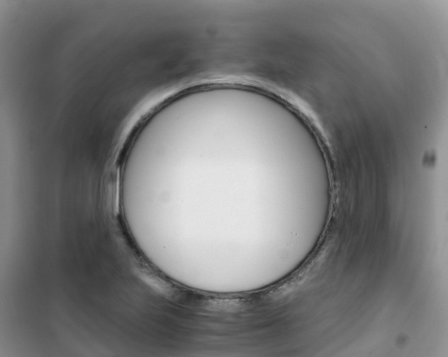 X0000102371223200808011016