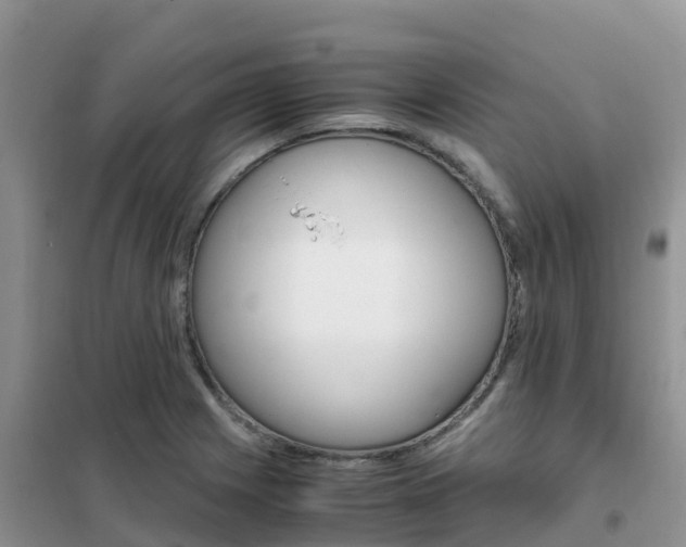 X0000102371225200808011016