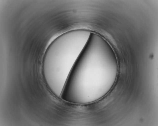 X0000102371226200808011016