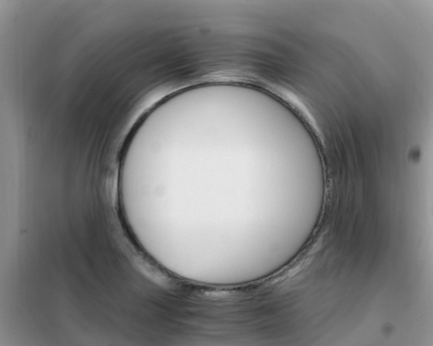 X0000102371227200808011016