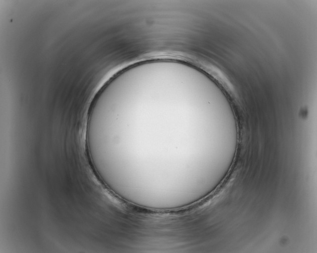 X0000102371228200808011016
