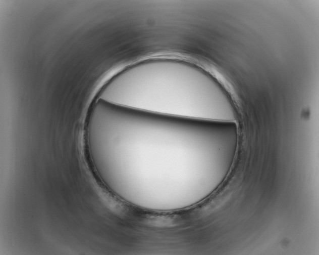 X0000102371229200808011016