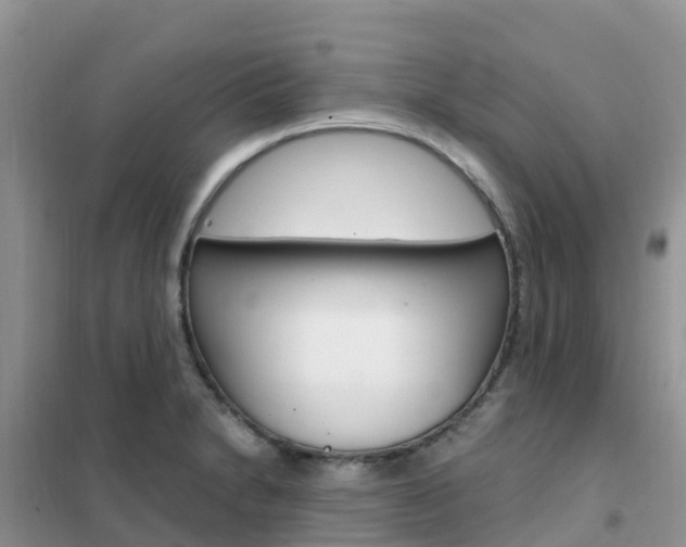 X0000102371230200808011016