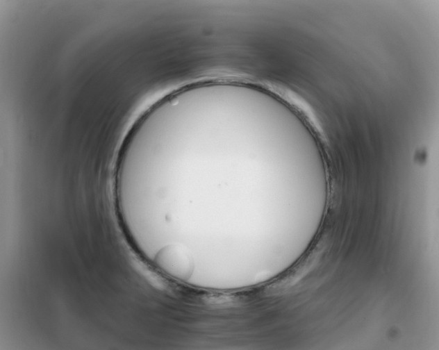 X0000102371231200808011016
