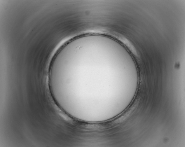 X0000102371232200808011016
