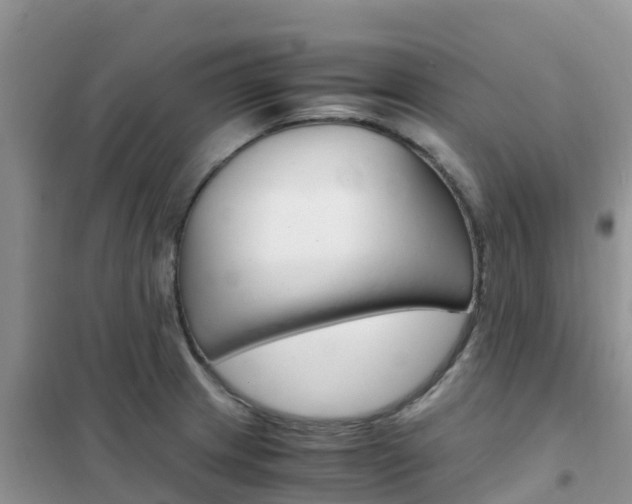 X0000102371233200808011016