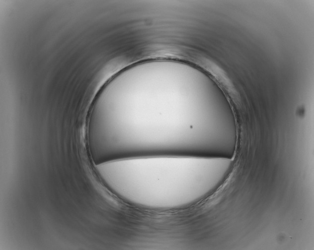 X0000102371234200808011016