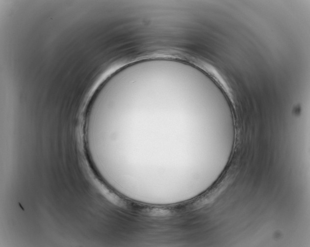 X0000102371235200808011016