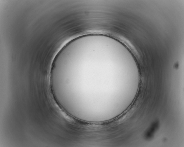 X0000102371236200808011016