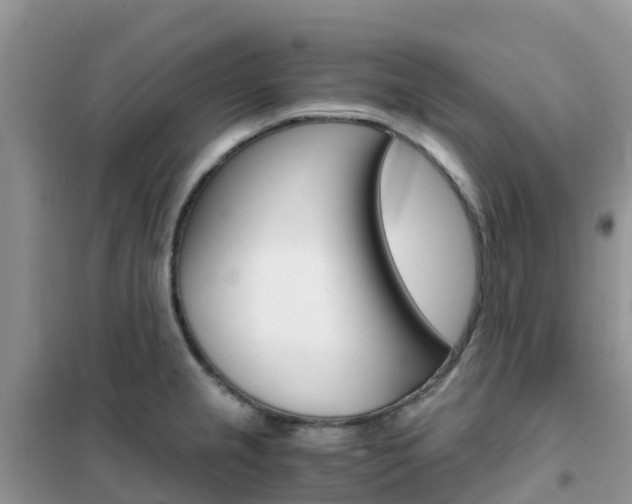 X0000102371237200808011016