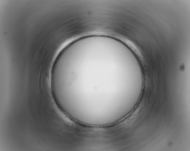 X0000102371238200808011016