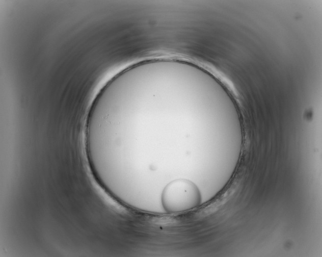 X0000102371239200808011016