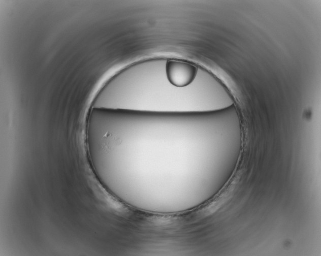 X0000102371240200808011016