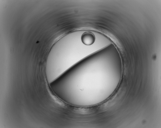 X0000102371241200808011016