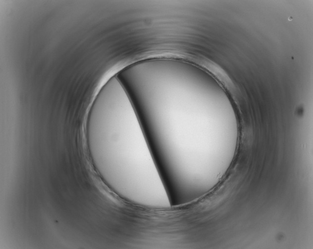 X0000102371242200808011016