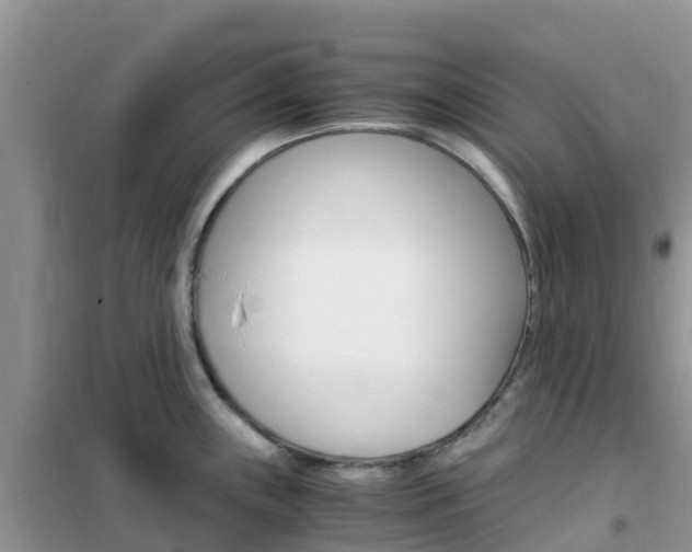 X0000102371243200808011016