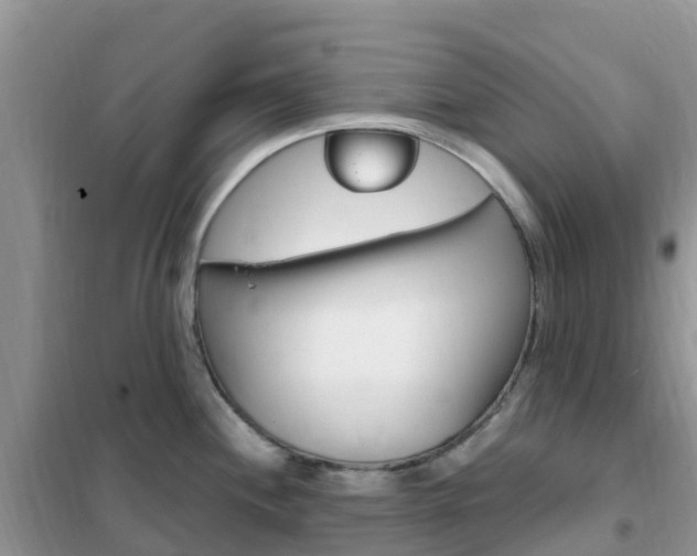 X0000102371244200808011016