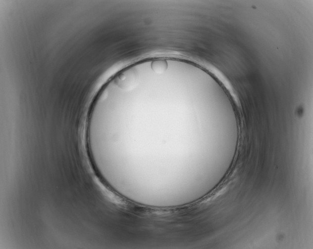 X0000102371245200808011016