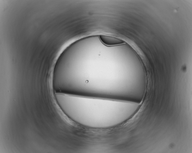 X0000102371246200808011016